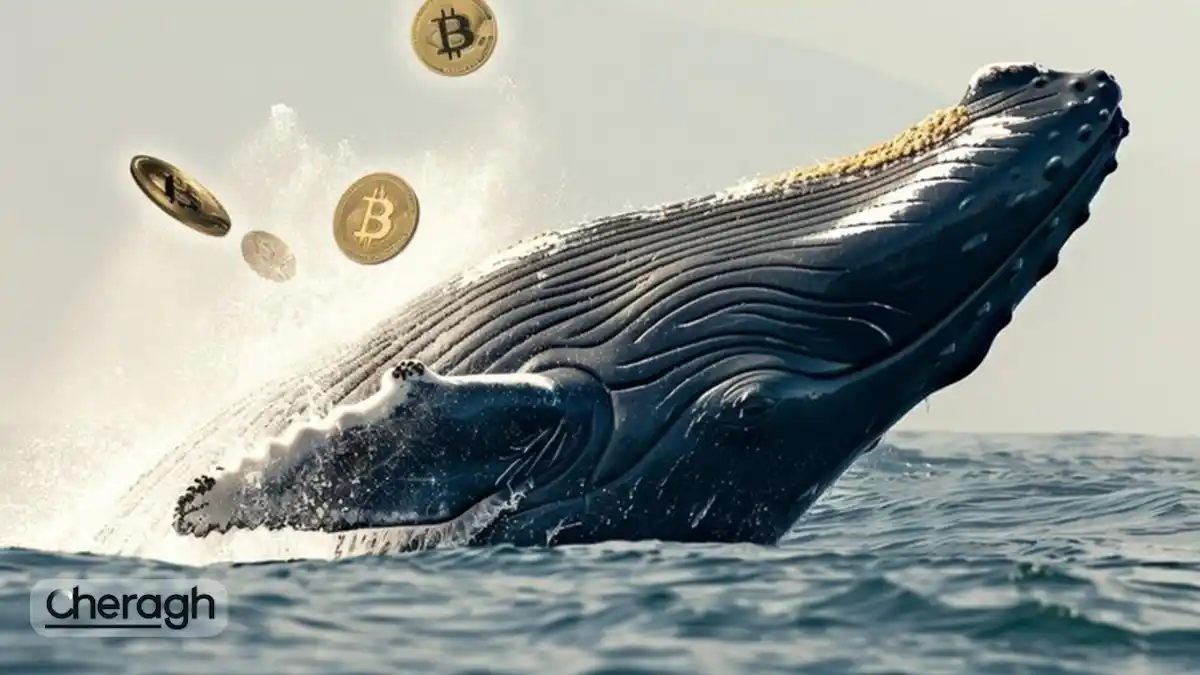 فروش پنهان نهنگها؛ چرا بیتکوین زیر فشار مانده است؟