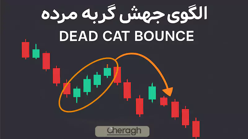 تعریف الگوی جهش گربه مرده