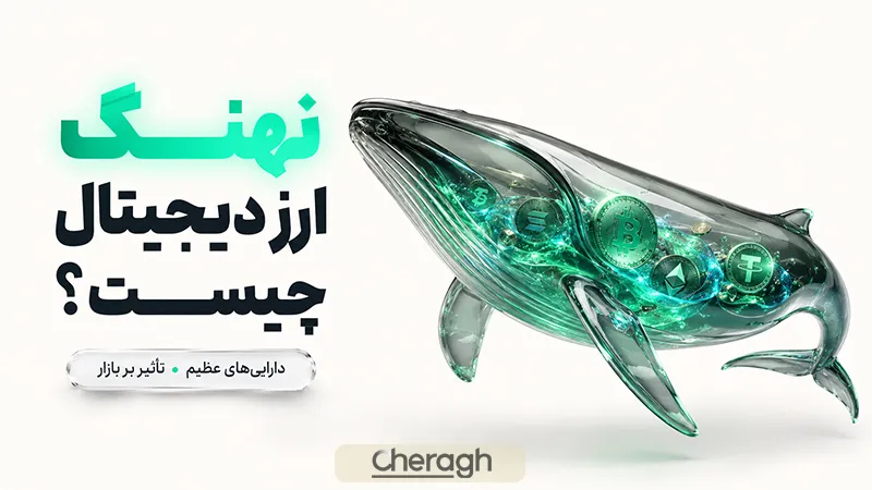 نهنگ ارز دیجیتال چیست؟