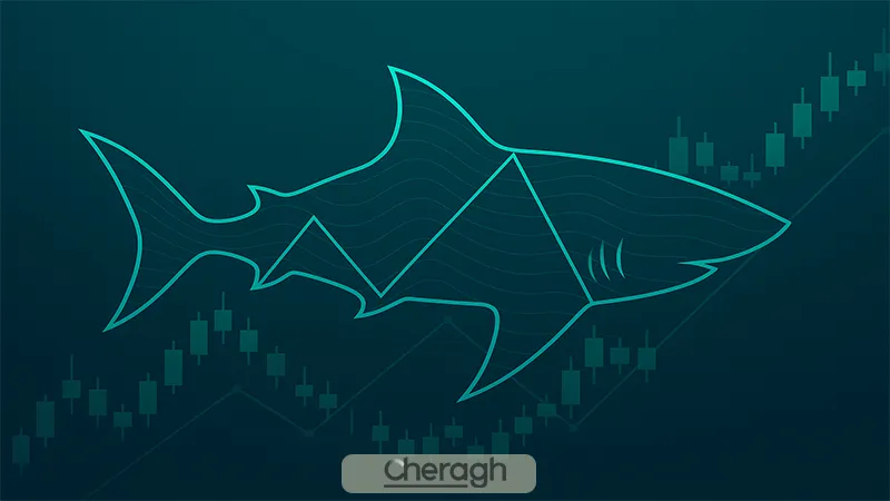 الگوی هارمونیک کوسه چیست؟