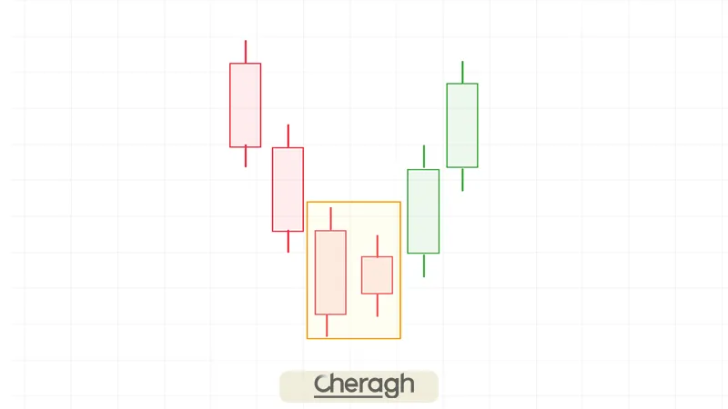 کبوتر خانگی صعودی