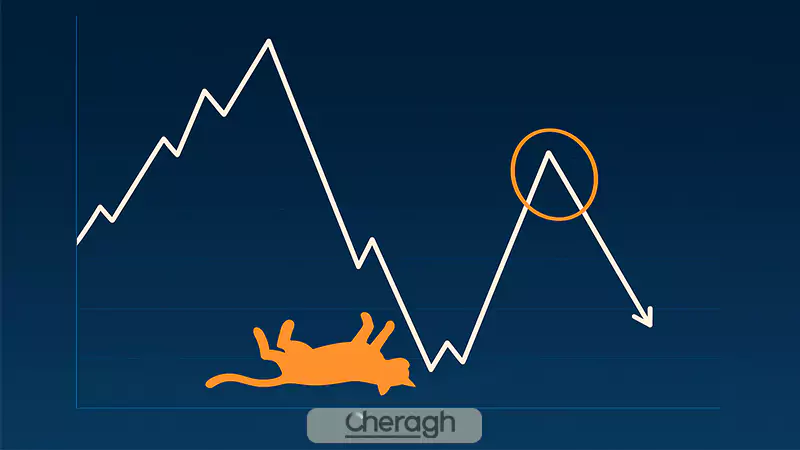 ویژگی‌های اصلی الگوی جهش گربه مرده