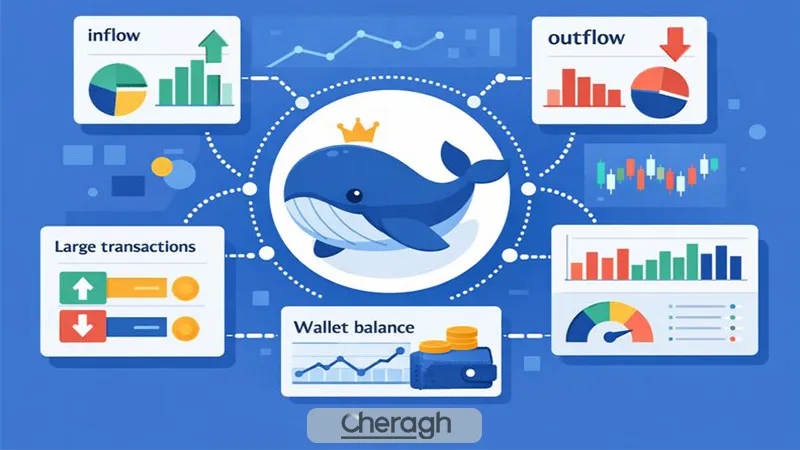 مهم‌ترین شاخص‌های آنچین برای ردیابی رفتار نهنگ‌ها