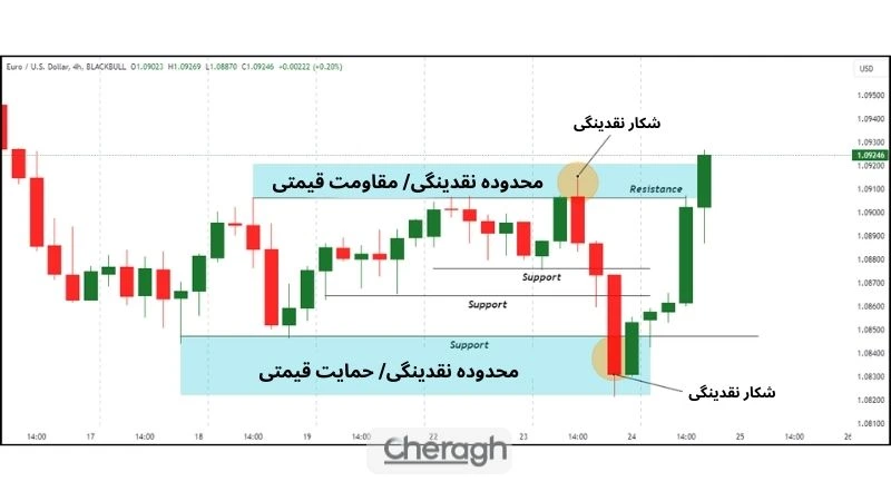 انواع شکار نقدینگی در بازار فارکس