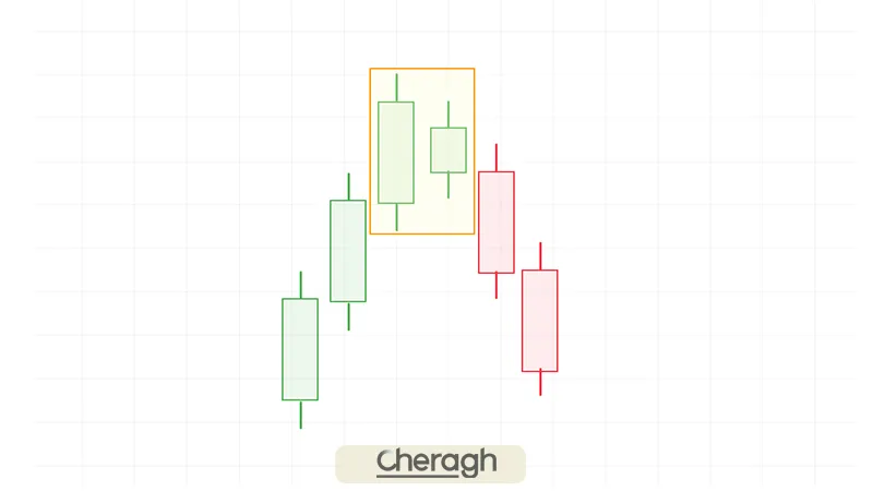 کبوتر خانگی نزولی