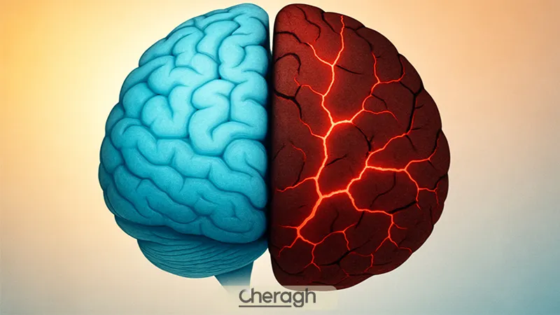 پیامدهای اثر زیانگریزی در معاملات