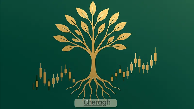 نقش صبر در موفقیت تریدر‌ها