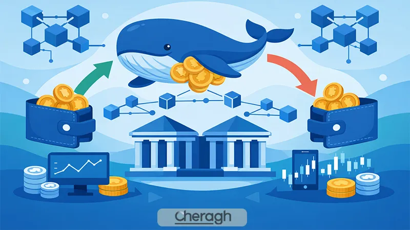 بررسی رفتار نهنگ‌ها در صرافی‌ها