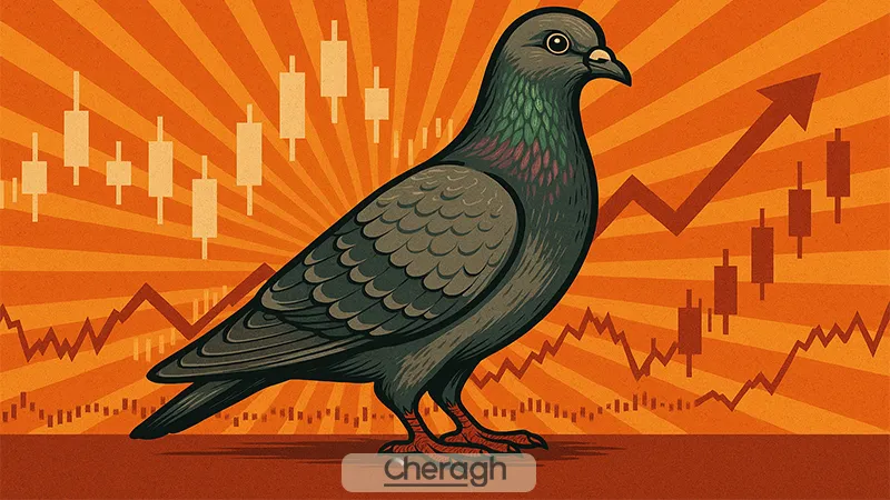 نکات مهم استفاده از الگوی homing pigeon