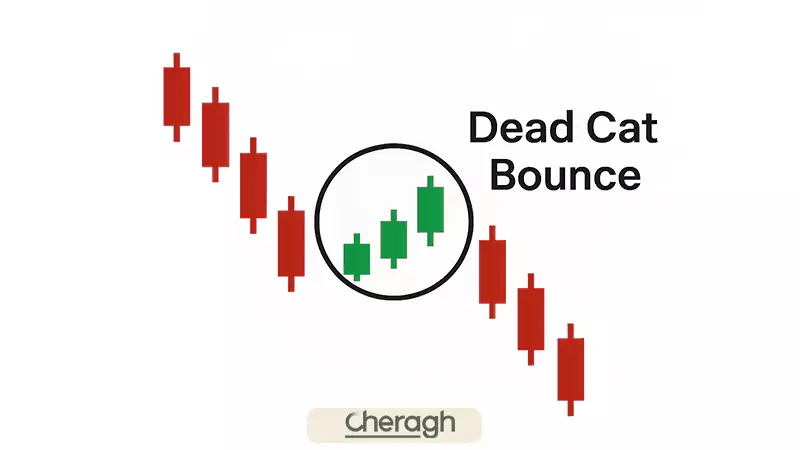 تشخیص الگوی جهش گربه مرده روی چارت