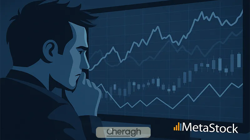 مزایای نرم افزار متا استاک