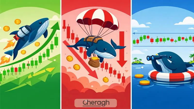 رفتار نهنگ‌ها در فازهای مختلف بازار