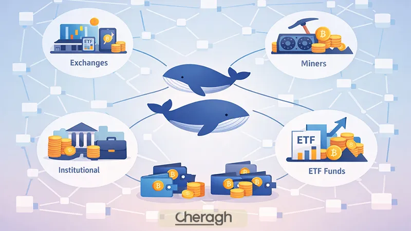 نقش انتیتی‌ها در تحلیل رفتار نهنگ‌ها