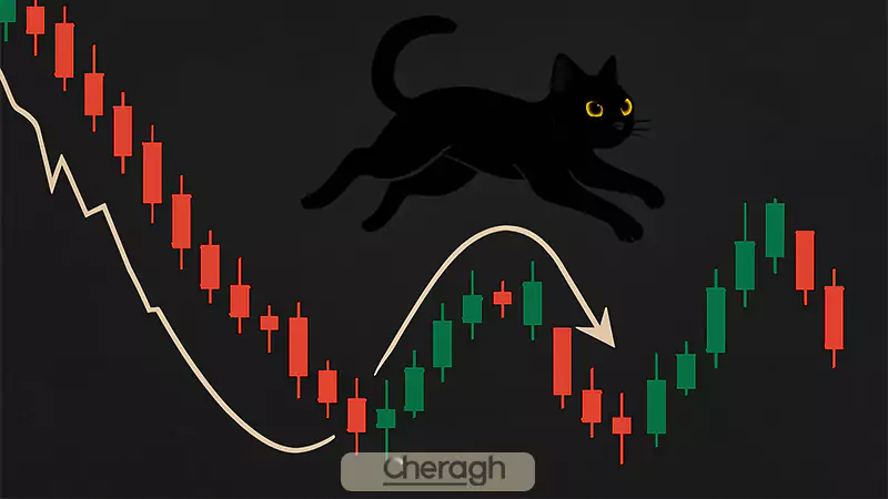 نحوه معامله با الگوی جهش گربه مرده