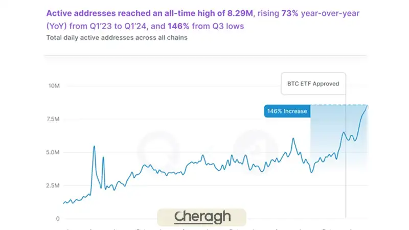 تحلیل آنچین نهنگ‌ها