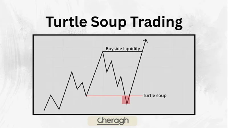 ستاپ ترتل سوپ