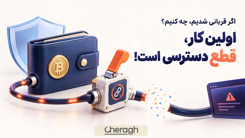 اگر فقط وارد سایت جعلی شده باشیم چه کنیم