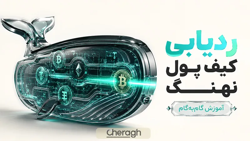 آموزش عملی ردیابی یک کیف پول نهنگ