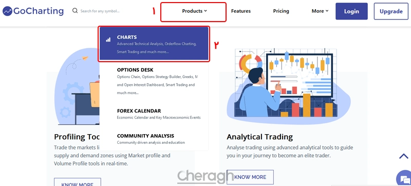 بک تست رایگان با سایت گوچارتینگ