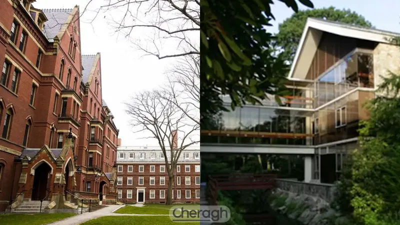 تحصیلات دالیو