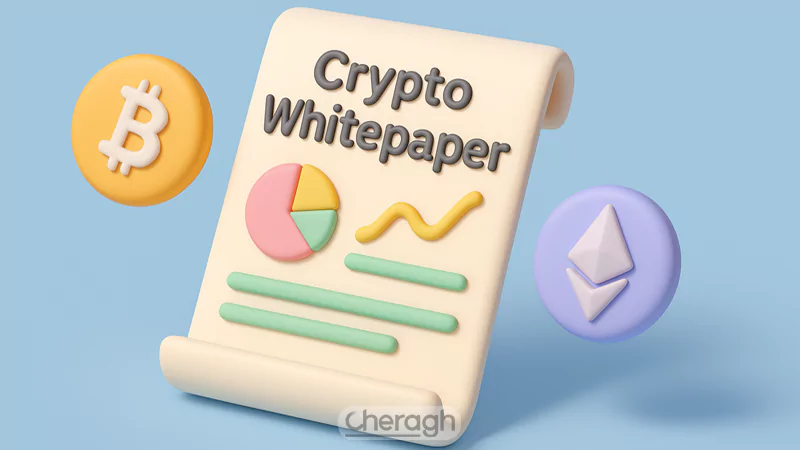 تاریخچه وایت پیپر