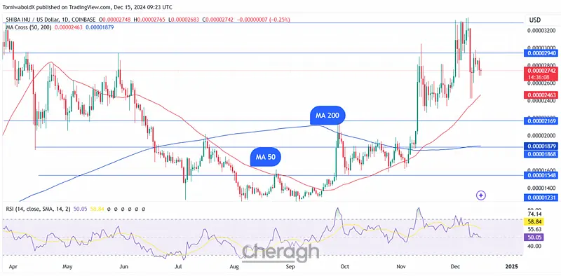 شیبا اینو در معرق چالش