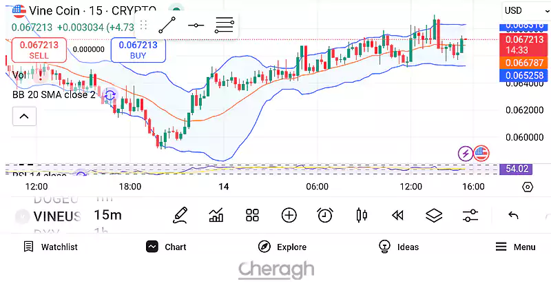 Vine Coin (VINE) – احیاگر رسانههای اجتماعی