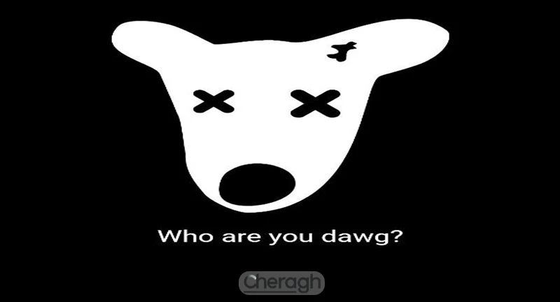 پیام "?Who are you dawg"