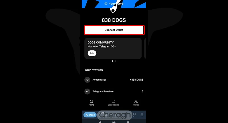 اتصال کیف پول (Connect Wallet)