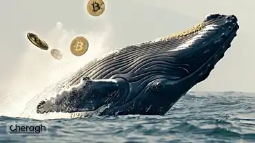 فروش پنهان نهنگ‌ها؛ چرا بیت‌کوین زیر فشار مانده است؟