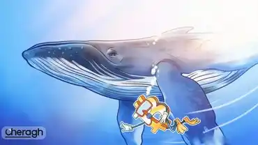 نهنگ‌های جدید بیت‌کوین در حال بازتعریف ساختار بازار هستند