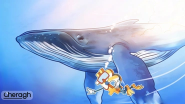 نهنگ‌های جدید بیت‌کوین در حال بازتعریف ساختار بازار هستند