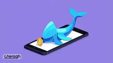 رفتار نهنگ‌ها در داده‌های آنچین