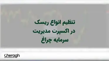 تنظیم انواع ریسک در اکسپرت چراغ