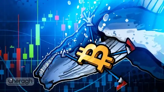 سقوط بیت‌کوین به زیر ۸۶ هزار دلار؛ فروش سنگین نهنگ‌ها خریداران کف را عقب راند