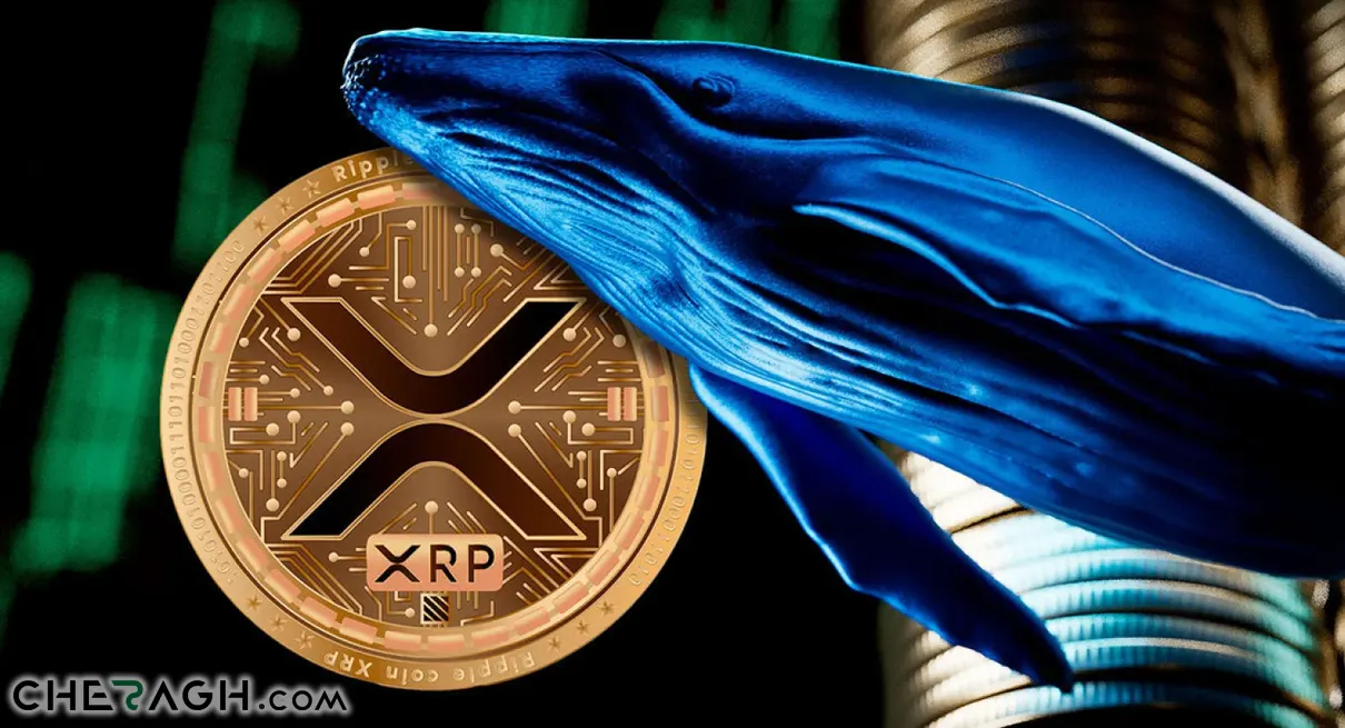 قیمت XRP، با وجود هک اخیر ریپل، به زودی افزایش می‌یابد!